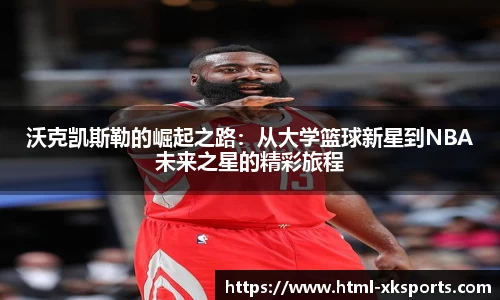 星空体育官网