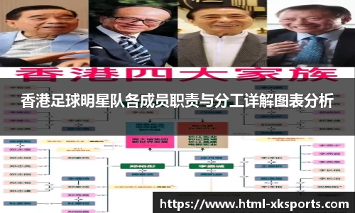 香港足球明星队各成员职责与分工详解图表分析